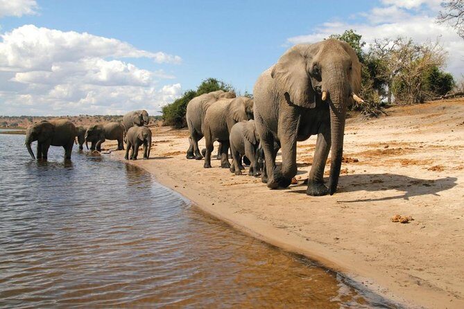 5 Day Chobe National Park Accommodated Tour Safari - Who Will Love This Tour?