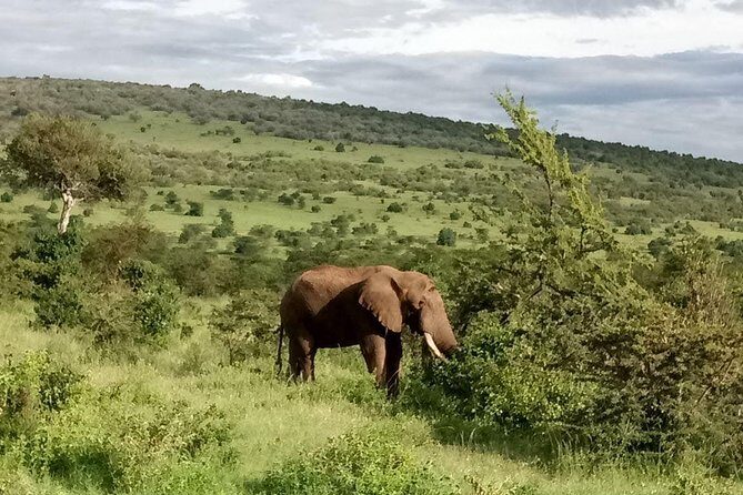 5-Day Crescent Island, HellS Gate, Naivasha, Amboseli National Park - An In-Depth Look at the 5-Day Kenya Safari Experience