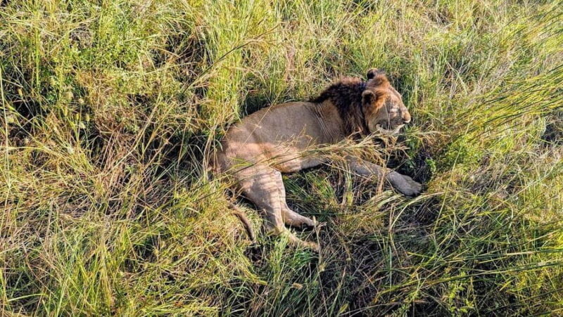 5-day cultural safari Mikumi & Nyerere National Parks - Exploring the Itinerary in Detail