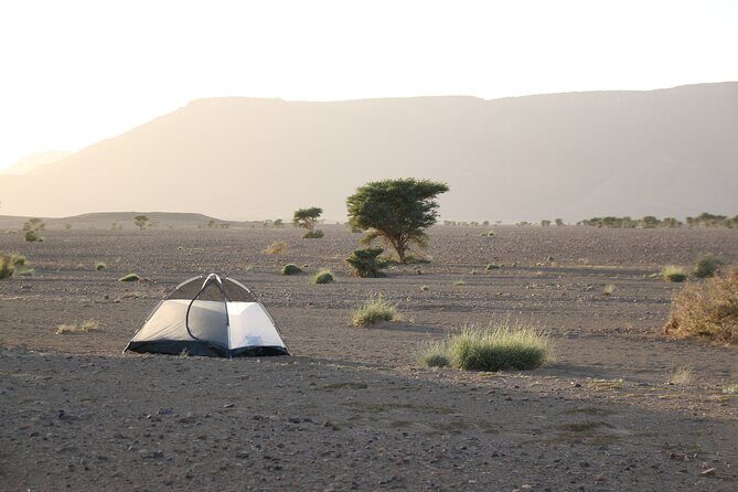 5-Day Desert Hiking Adventure from Merzouga - The Authenticity and Experience