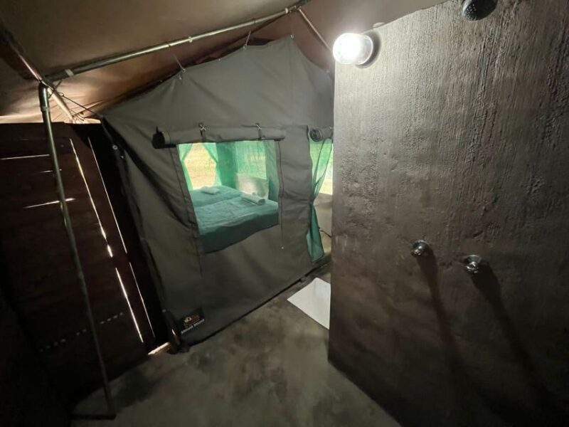 5 Day Dumela Tented Camp Safari - An In-Depth Look at the 5-Day Dumela Tented Camp Safari