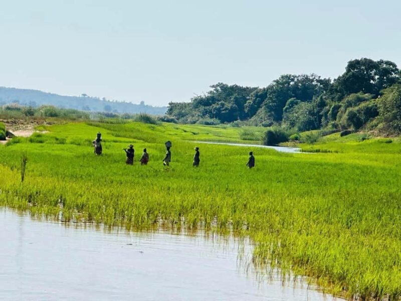 5-Day from Tana: Tsiribihina River Canoe & Baobab avenue - FAQ