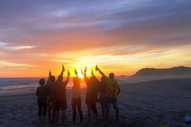 5-Day Garden Route & Addo Adventure from Cape Town to Port Elizabeth - Who Will Love This Tour