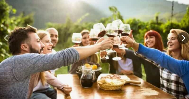 5 Day Garden Route Private Safari from Cape Town - The Sum Up