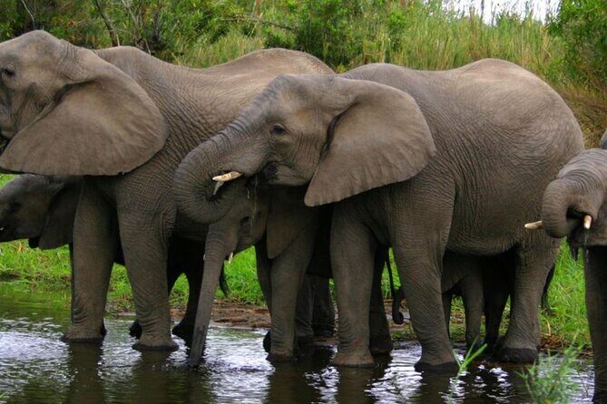 5 Day Garden Route Small Group Tour Fr CapeTown - Departs Mondays - An In-Depth Look at the Itinerary and What You’ll Experience