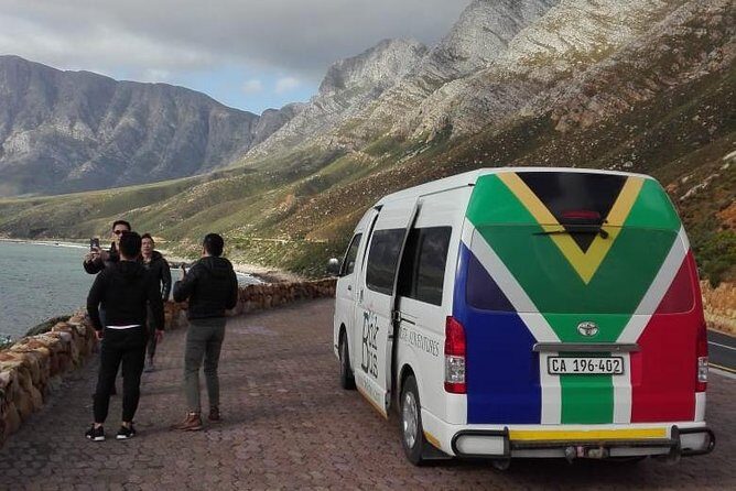 5 Day Garden Route Tour and Addo Elephant National Park - Day 5: Coastal Wildlife and Return to Cape Town