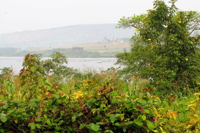 5 Day Gorillas, Wildlife and Kalinzu Forest Chimp Trek - Final Thoughts
