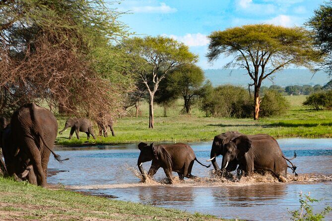 5-Day Group Tour Mid Range - Key Points