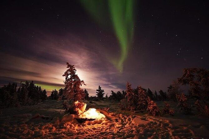 5-Day Guided Tour to Yellowknife Aurora Viewing - Key Points