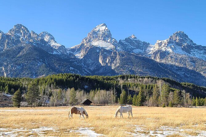 5-day In-Depth Yellowstone and Grand Teton National Park Tour - Exploring the Itinerary in Detail