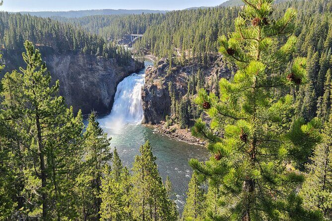 5-day In-Depth Yellowstone and Grand Teton National Park Tour - The Sum Up: Is This Tour Right for You?