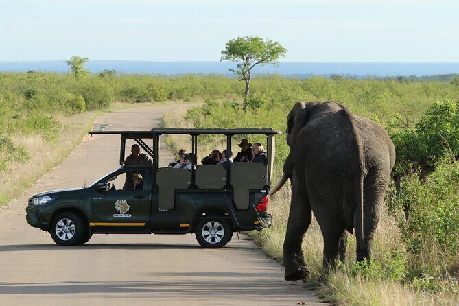 5 day-Kruger National Park Safari from Kruger Int. Airport (KMI), Panorama Route - Final Thoughts