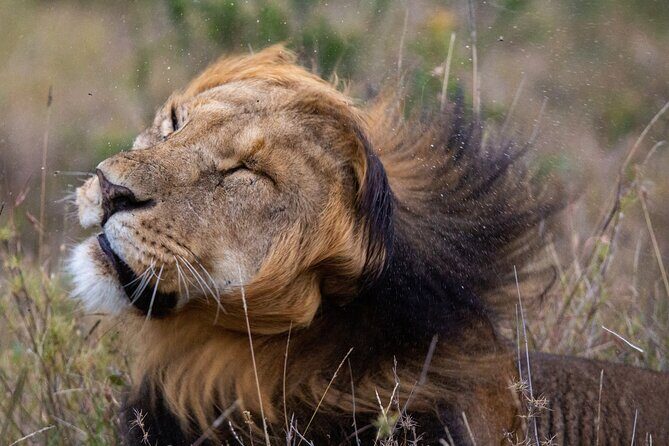5-Day Lakes and Masai Mara Plains 4 x 4 Safari - Introduction: The Practical Appeal of This Safari