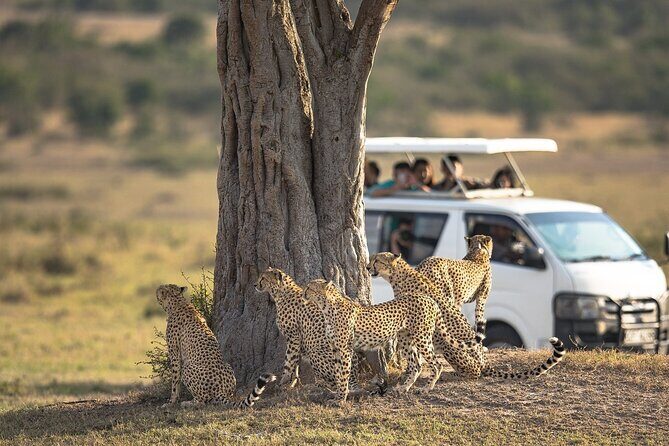 5-Day Lakes and Masai Mara Plains 4 x 4 Safari - FAQ