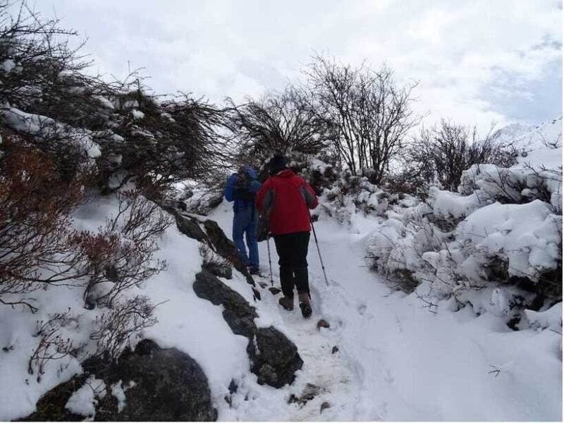 5 Day Langtang Valley Trek; Guide; Transport; permit - FAQ