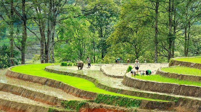 5-Day North Vietnam: Hanoi -Halong Bay -Ninh Binh-Sapa from Hanoi - A Closer Look at the Itinerary
