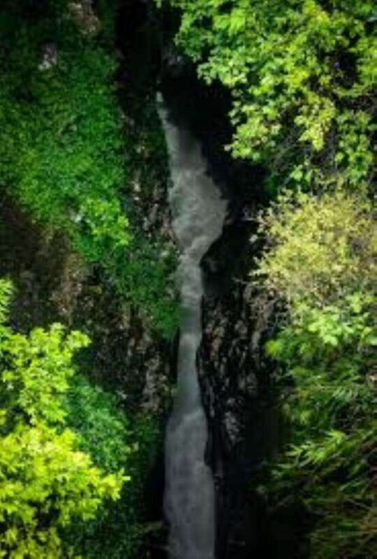 5-Day Pokhara Tour with Australian Camp Hike From Kathmandu - Who Is This Tour Best For?