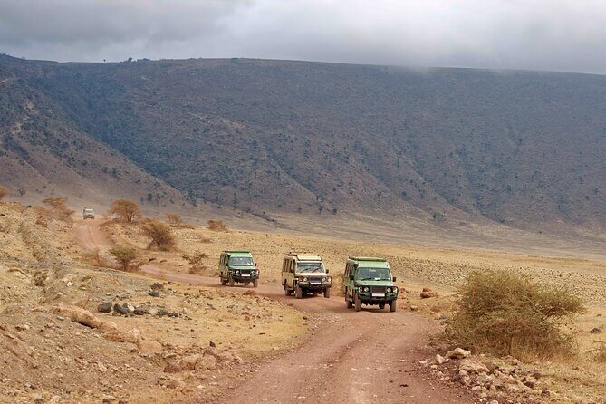 5-Day Private Camping Tour to Serengeti, Ngorongoro & Tarangire - Analyzing the Itinerary: What to Expect Each Day