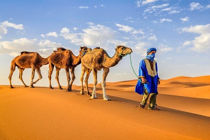 5 Day Private Morocco Tour from Casablanca - Analyzing the Itinerary: What to Expect