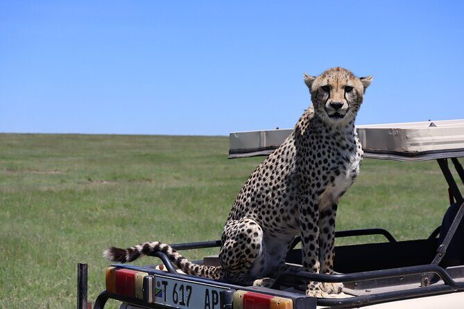 5-Day Private Safari in The Serengeti with Accommodation - Final Thoughts