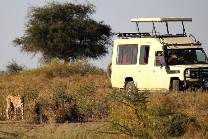 5-Day Private Safari Tour in Tanzania's Wildlife - Who Will Enjoy This Safari?