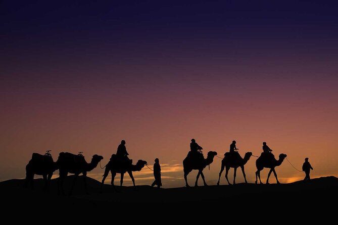5-Day Private Tour from Chefchaouen to Desert and Marrakech - Who Will Love This Tour?