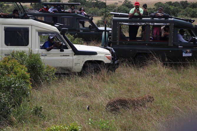 5-Day Private Tour in Kenya's Best Game Parks - Frequently Asked Questions