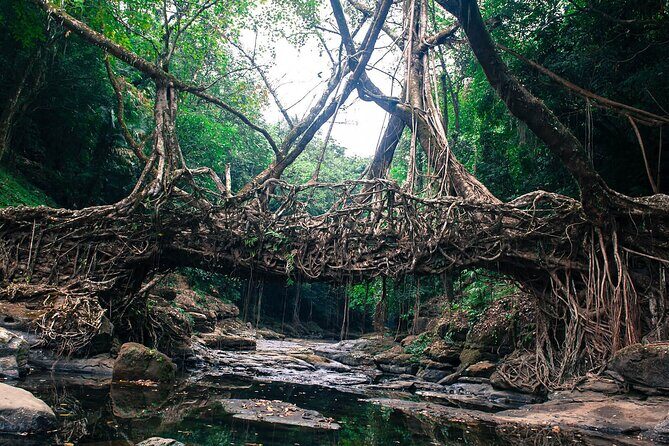 5-Day Private Tour in Meghalaya with Meals and Accommodation - The Itinerary Breakdown