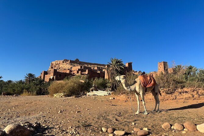 5-Day Private Tour to Sahara and ErgChebbi from Marrakech - The Overall Experience: What Travelers Can Expect
