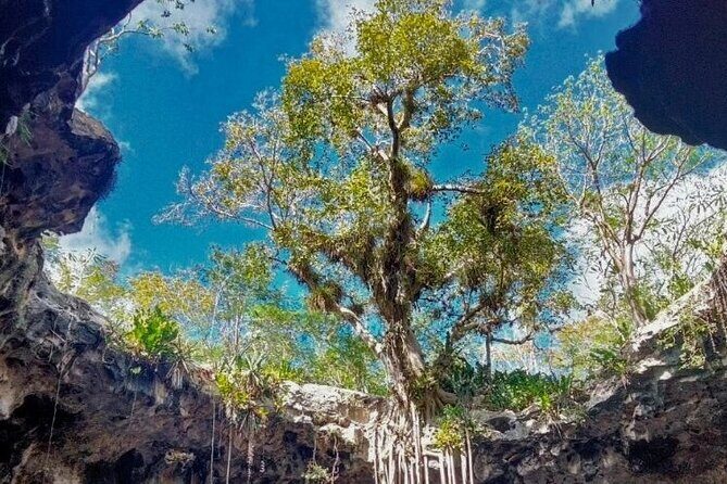5-Day Riviera Maya and Yucatan Tour, Mexico - Who Should Consider This Tour?