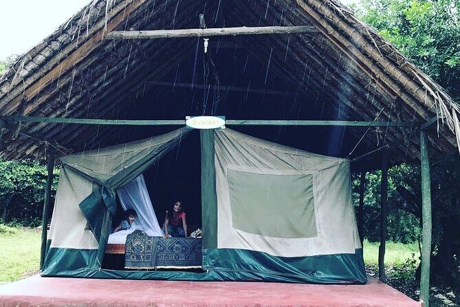 5-Day Safari in Maasai Mara, Lake Nakuru and Naivasha - An In-Depth Look at the 5-Day Kenya Safari