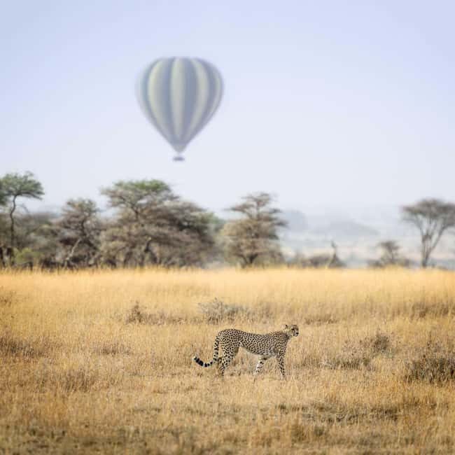 5-day Safari - Practical Details: What You Should Know
