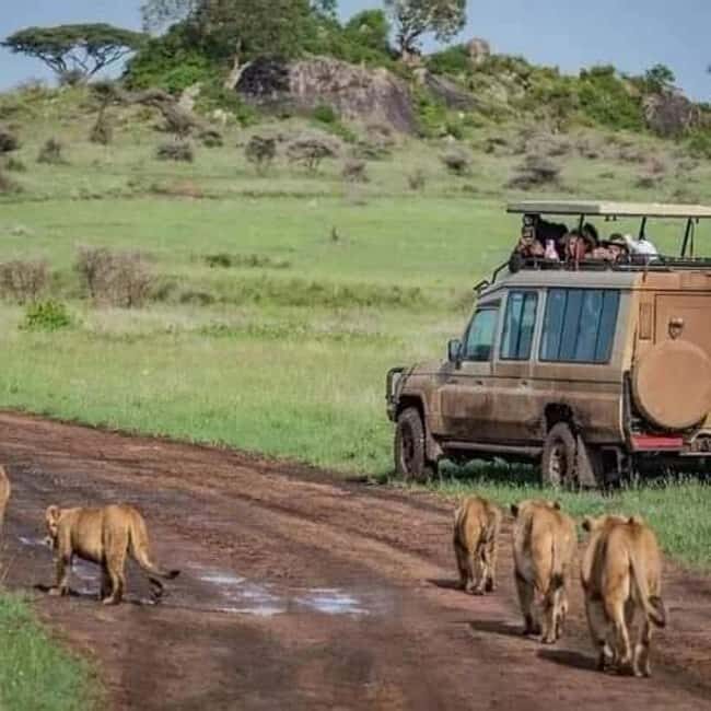 5 Day Safari Tarangire, Serengeti, Ngorongoro & Manyara Join - FAQ