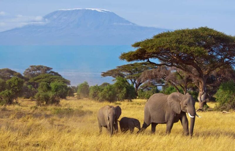 5-Day Safari to Amboseli, Tsavo West,Taita & Tsavo East - Exploring the Itinerary in Detail