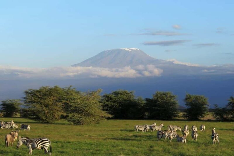 5-Day Safari to Amboseli, Tsavo West,Taita & Tsavo East - FAQs