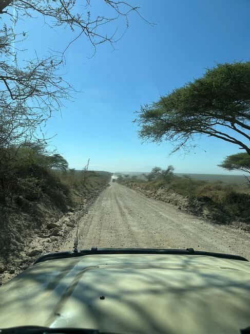 5-Day Safari to Remember into the Wilderness - The Sum Up