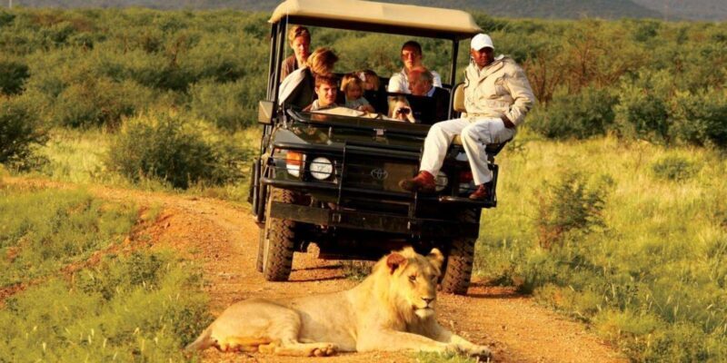 5 Day Small Group Garden Route Tour From Cape Town - Who Will Love This Tour?