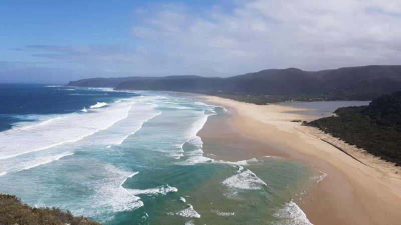 5-Day South Africa Tour: Cape Town, Safari, and Garden Route - Exploring the Itinerary: What Youll Experience
