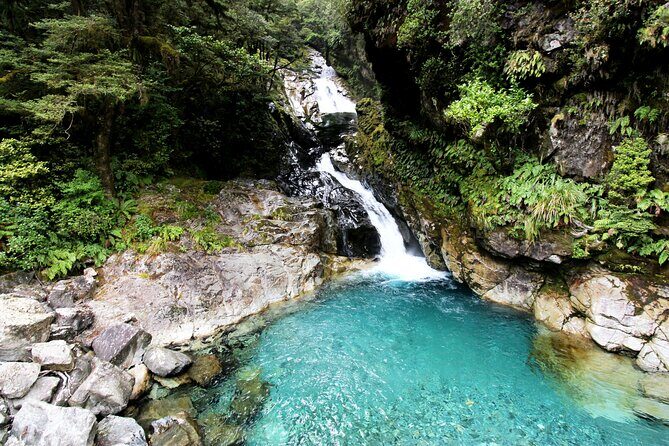 5 Day South Island New Zealand Private Tour from Dunedin - FAQ