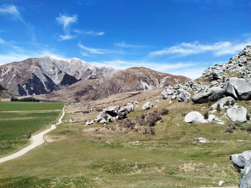 5 Day South Island NZ Tour from Dunedin to Christchurch - Key Points