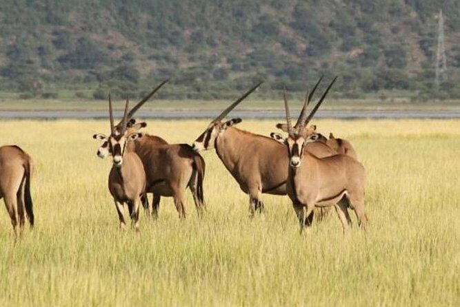 5 Day: Spectacular View of Ngorongoro Crater - Final Thoughts on the Experience