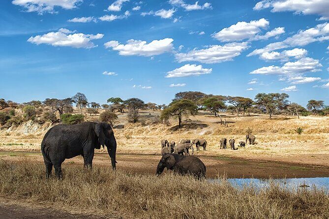 5-Day Tanzania Safari and Scenic Tour - The Itinerary in Detail