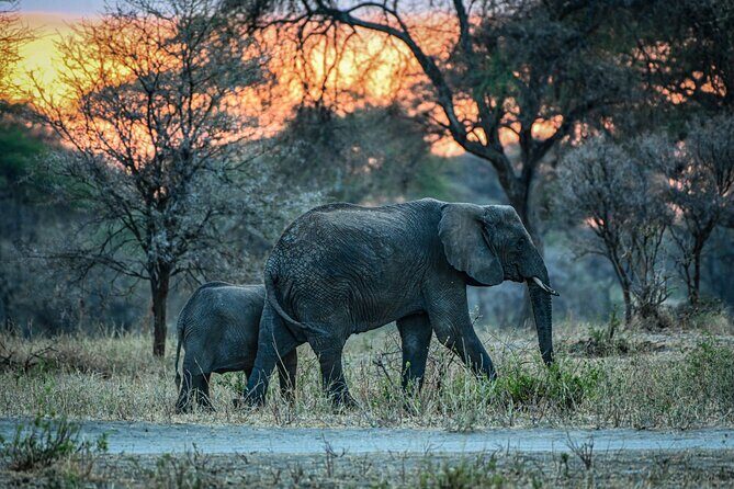 5-Day Tanzania Safari and Scenic Tour - FAQ