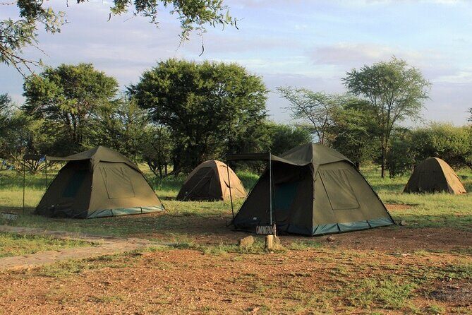 5 Day Tanzania Safari Camping Adventure Private Tour - Frequently Asked Questions