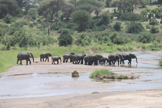 5 Day Tanzania Safari Camping Adventure Private Tour - In The Sum Up