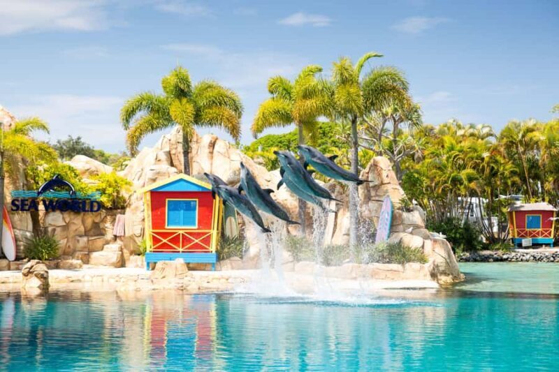 5-Day Theme Park Pass & Sea World Cruise Combo Ticket - An In-Depth Look at the 5-Day Combo Experience