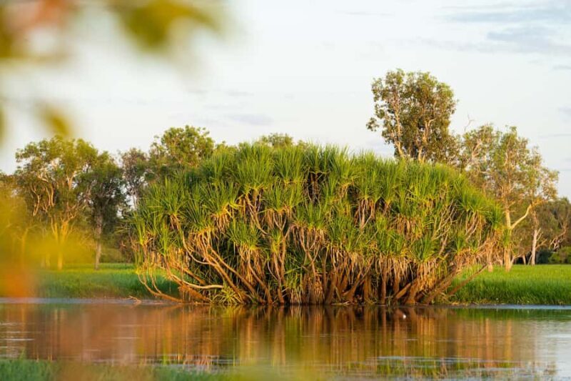 5 Day Top End Camping Tour - A Day-by-Day Breakdown
