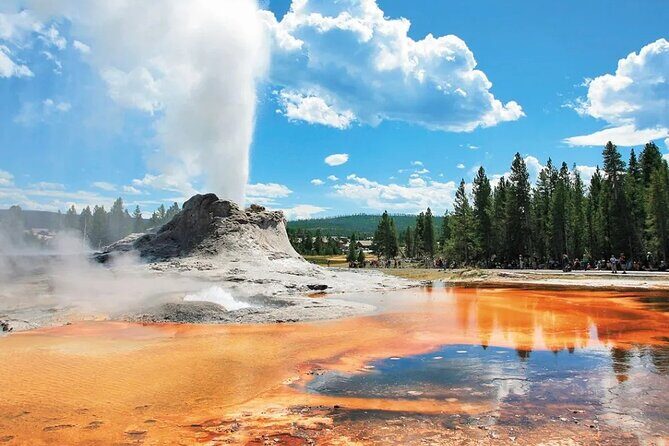 5 Day Tour L. Angeles Las Vegas Yellowstone & Grand Teton from LA - Value for Money