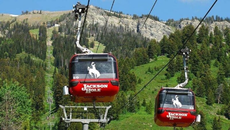 5-Day Tour: LA, Vegas, Antelope Canyon & National Parks - Key Points