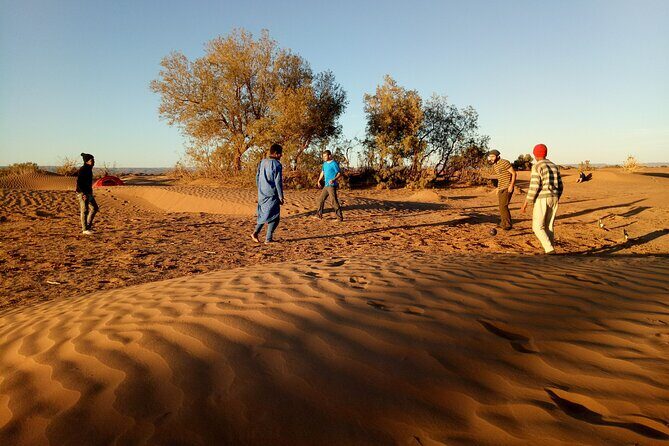 5-day trek - In the Draa Valley - The Itinerary: What to Expect